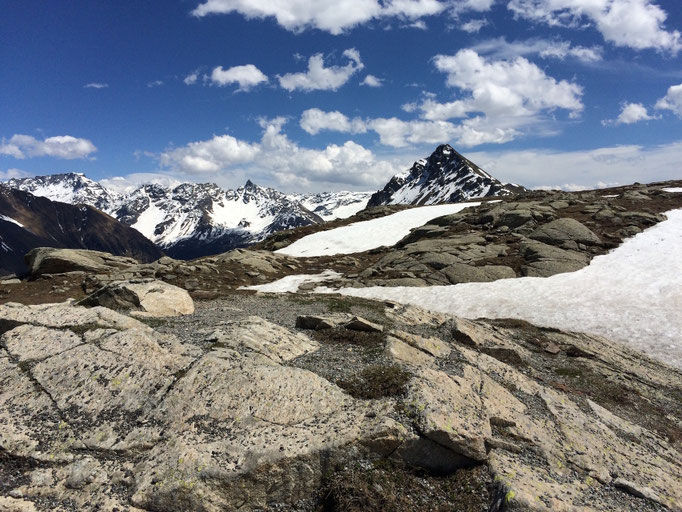 Bernina