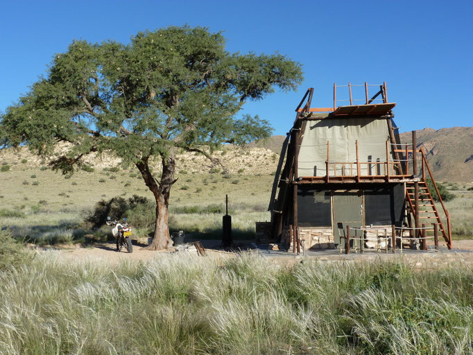Camp Gecko