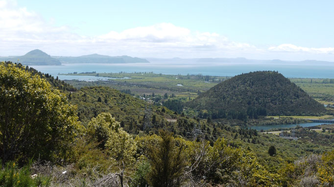 Taupo