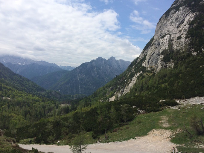 Vrsicpass