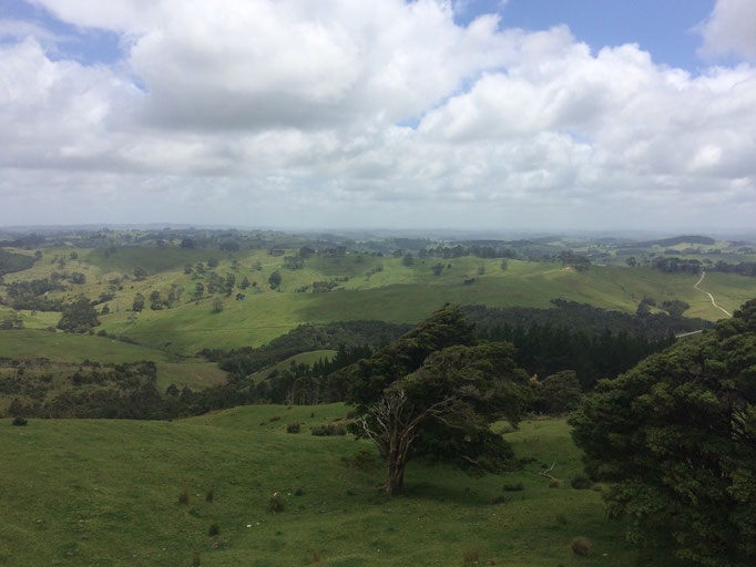 Northland