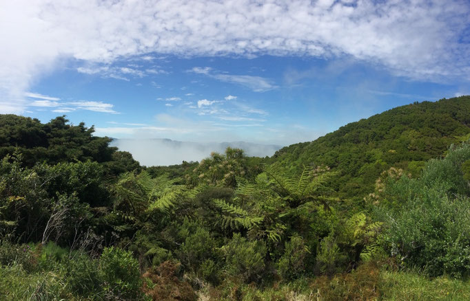 East Cape