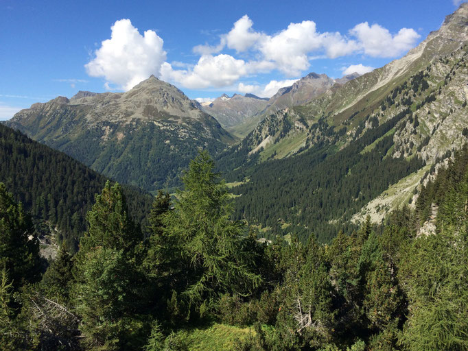 Maloyapass