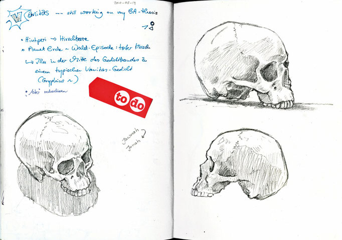 vanitas - skull studies, Mainz 2010