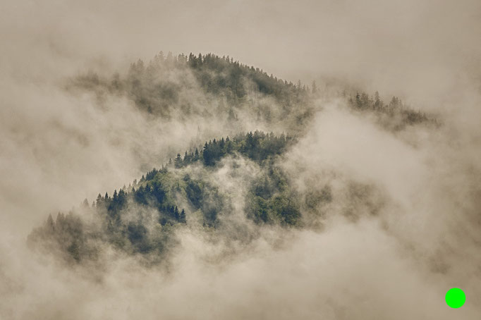 FINE ART // m038 // 2012