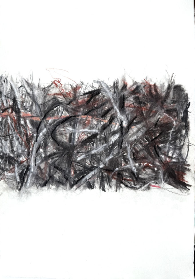 Wildwuchs 16 (Diptychon), 79x54 cm, 2025