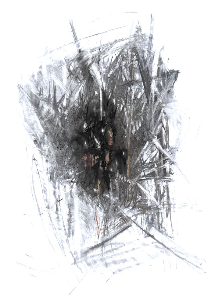 Wildwuchs 15, Zeichnung Kohle/Pastellkreiden, 100x70 cm, 2025