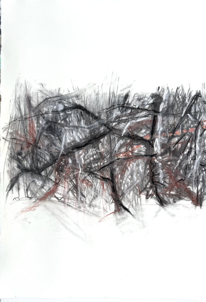 Wildwuchs 16 (Diptychon),79x54cm, 2025
