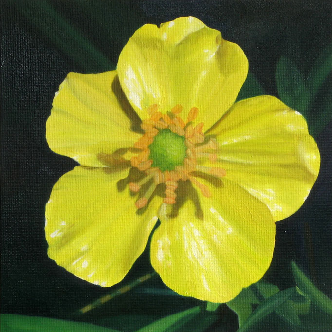 <b>Butterblume</b><br>Öl/Malkarton | 2010 | 20 x 20 cm