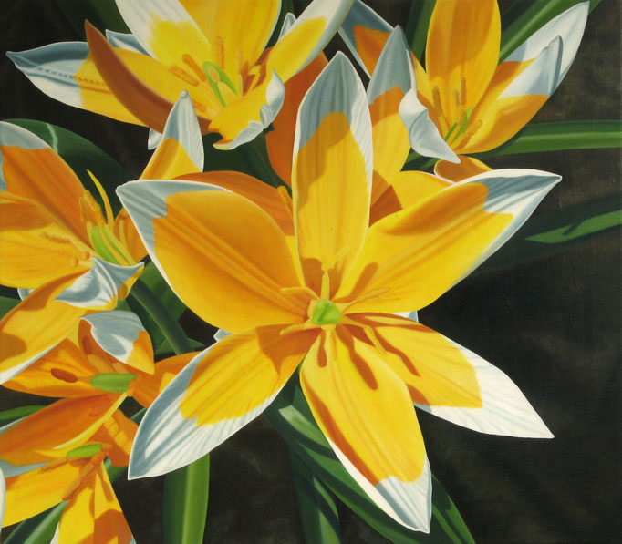 <b>Wilde Tulpen</b><br>Öl/Leinwand | 2009 | 70 x 80 cm<br><small>(Privatbesitz)