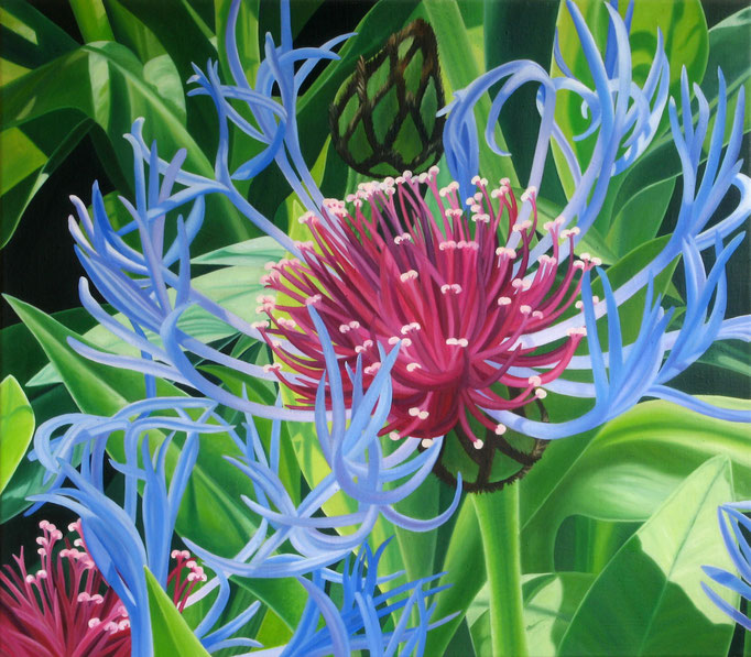 <b>Flockenblume</b><br>Öl/Leinwand | 2009 | 70 x 80 cm