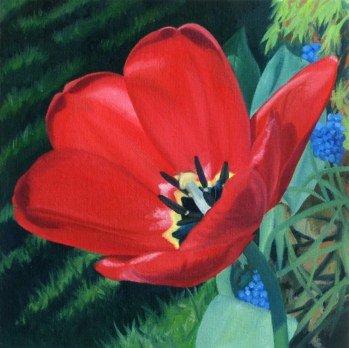 <b>Rote Tulpe 1</b><br>Öl/Malkarton | 2010 | 20 x 20 cm