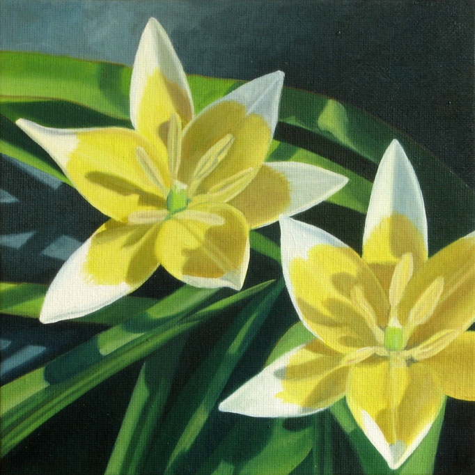 <b>Wilde gelbe Tulpen</b><br>Öl/Malkarton | 2010 | 20 x 20 cm