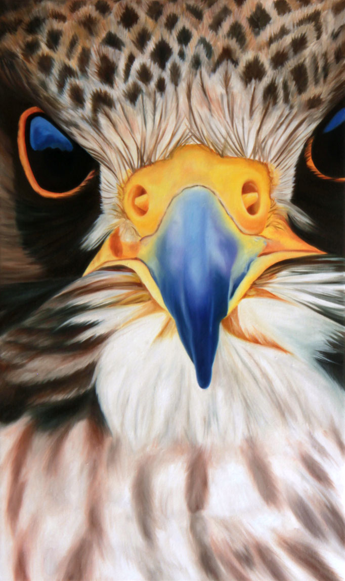 <b>Wanderfalke</b><br>Öl/Leinwand | 2015 | 75 x 45 cm