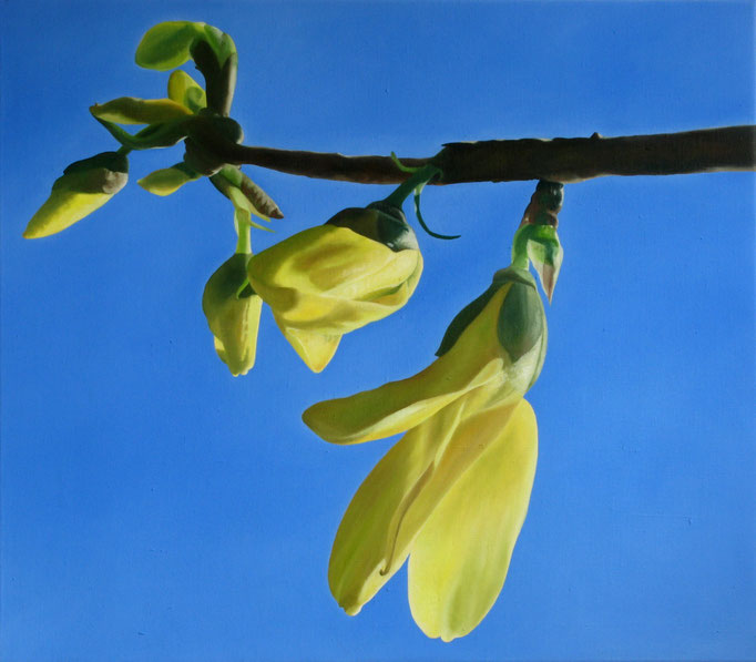 <b>Forsythie</b><br>Öl/Leinwand | 2010 | 70 x 80 cm<br><small>(Privatbesitz)