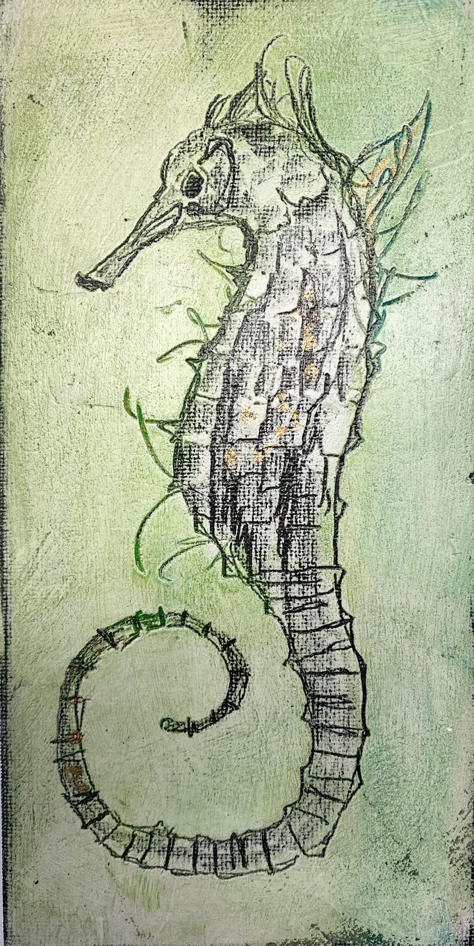 b_midihoch_seepferdchen