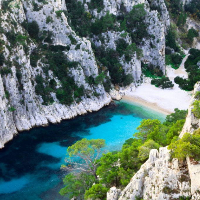 Tous les ingrédients de la gamme Rivages de Fauvert sont issus d'une récolte faite en Méditerranée.