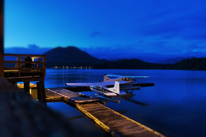 Tofino