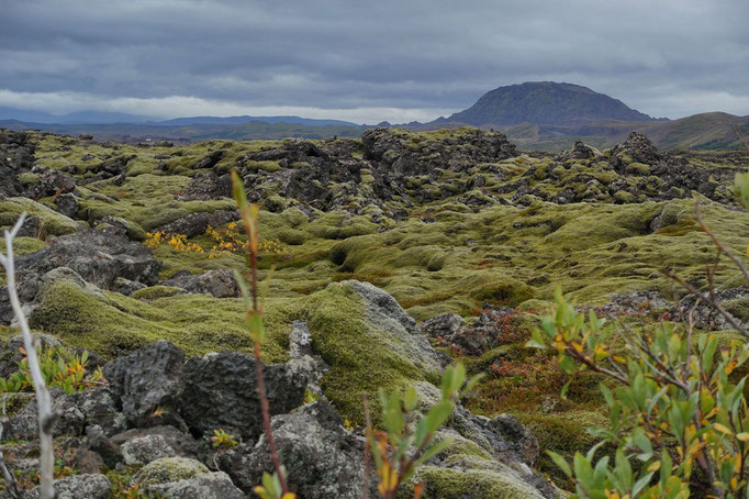 Reykjanes