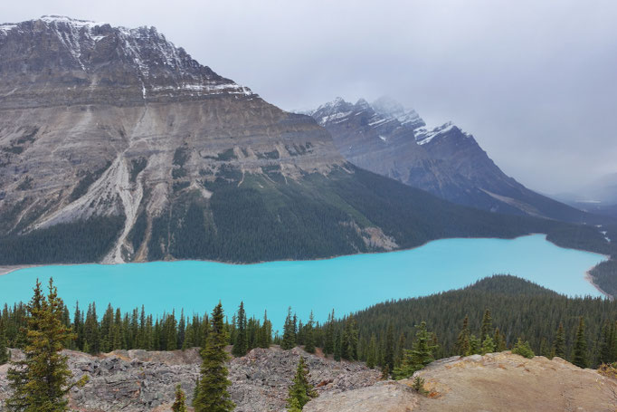 Peyto Lake