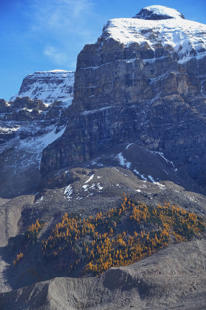 Plain of six glaciers
