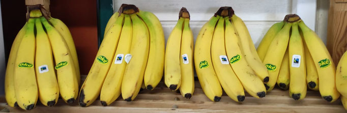 Bio  Bananen 1,70/KG 