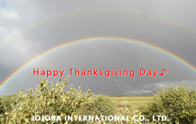 ♔ Happy Thanksgiving Day♪  JOJOBA INTERNATIONAL CO., LTD.