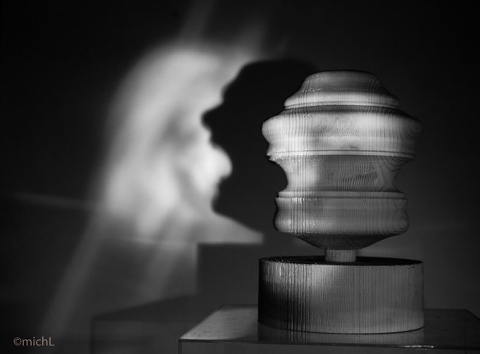 Révolution / Bois  © Michel LAURENT / MichL