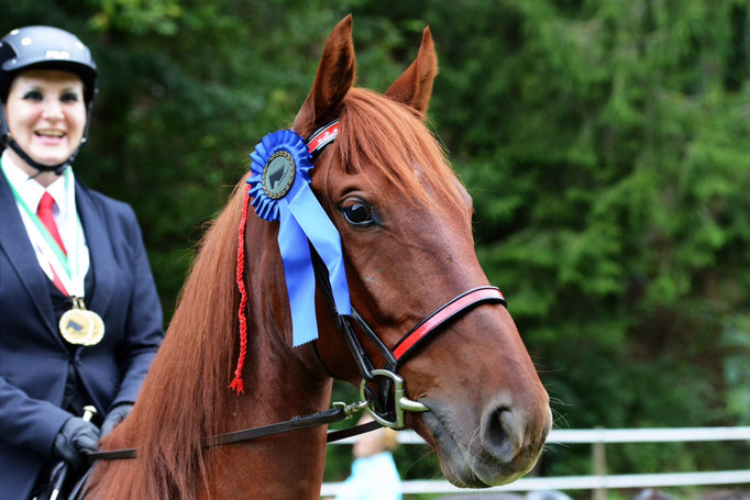 1. Platz Viergang