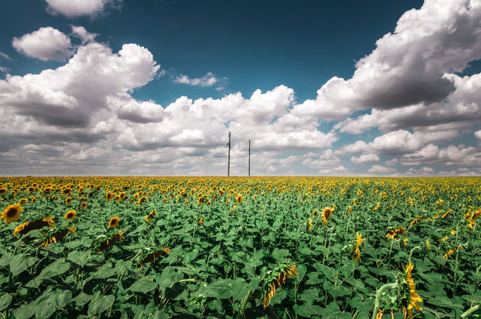 Fotos Landschaften Natur und Naturlandschaften lizenzfrei, kostenlos und unverbindlich herunterladen