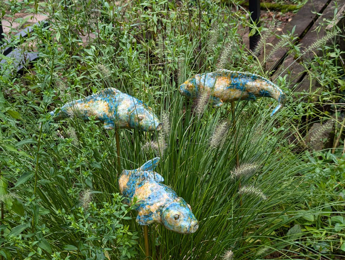 Fische, je ca. 30cm