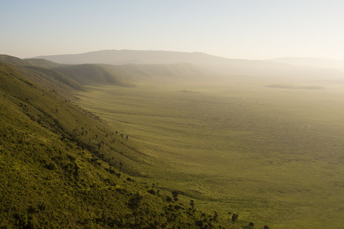 Ngorongoro Crater Rim