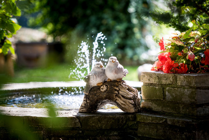Garten mit Brunnen