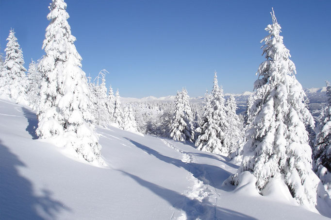 Spuren im Schnee Grebenzen