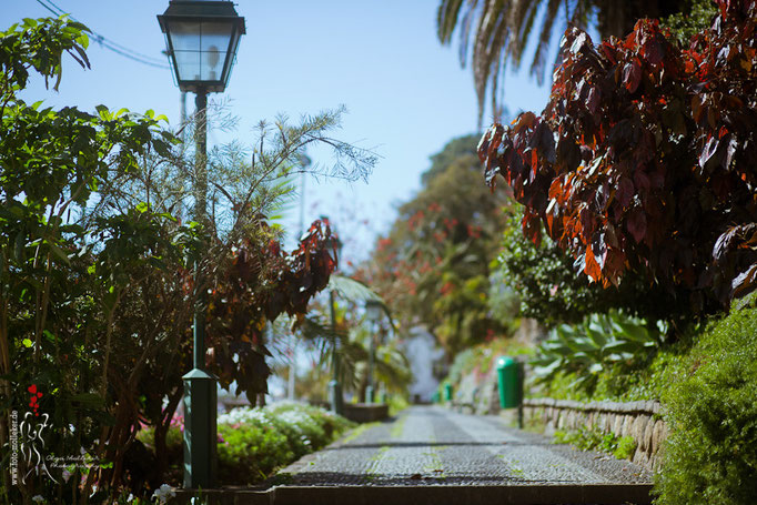 Fotoshooting in Portugal