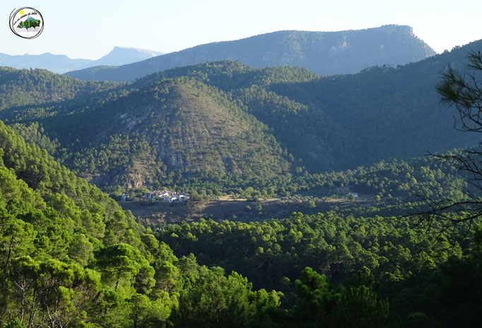 Cerro Linarejos, Bucentaina.. y de fondo la Peña del Cambrón