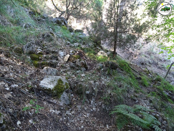 Manantial bajando a la Cueva del Agua "Tijera o Tejera"