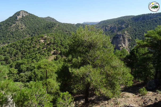 Ascenso al cerro del Toríl o El Castellón. Vistas al calar de los Caracoles