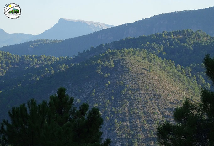 Cerro Linarejos, y de fondo la Peña del Cambrón
