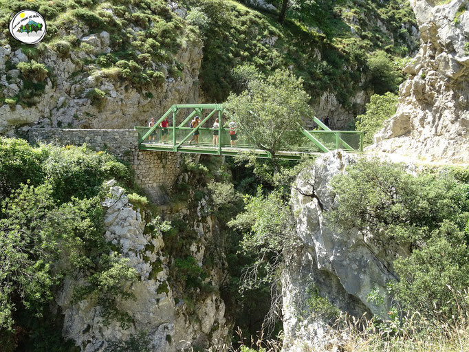 Puente Bolín sobre el río Cares