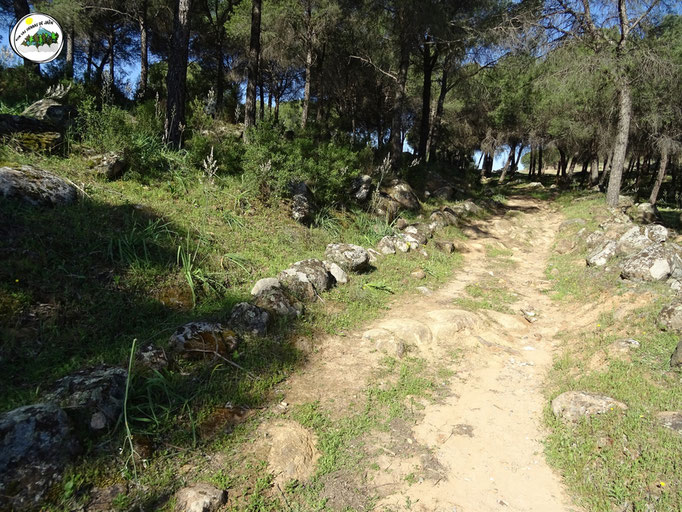 Camino de San Lorenzo