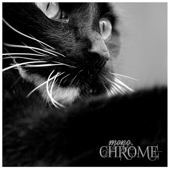  © MANUELA MELICHAR alias mono.chrome 