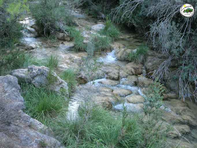 Río Aguascebas Grande