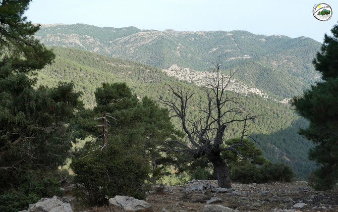 Sierra de Cazorla