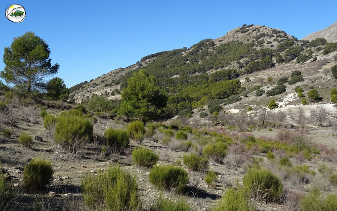 Cerro Castellar