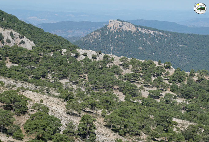 Cerro Bucentaina