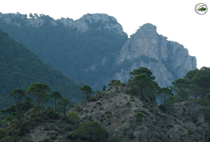 Cerro Pedregoso