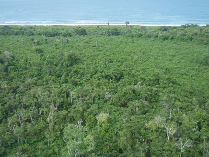 aerial survey of the coast