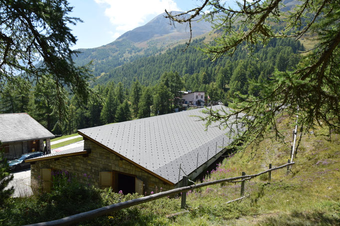 Grächen '14.