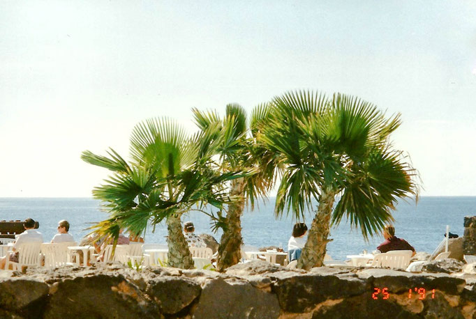 Teneriffa '91 | Hotel «Jardin Tropical».